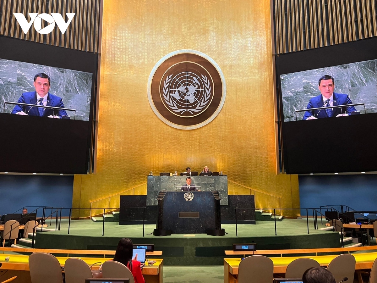 Ambassador Dang Hoang Giang, Vietnam's Permanent Representative to the UN addresses the session.