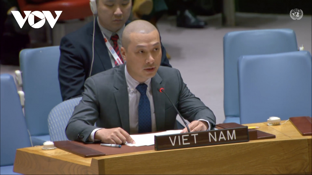 Minister Counsellor Nguyen Hoang Nguyen, Deputy Permanent Representative of Vietnam to the UN