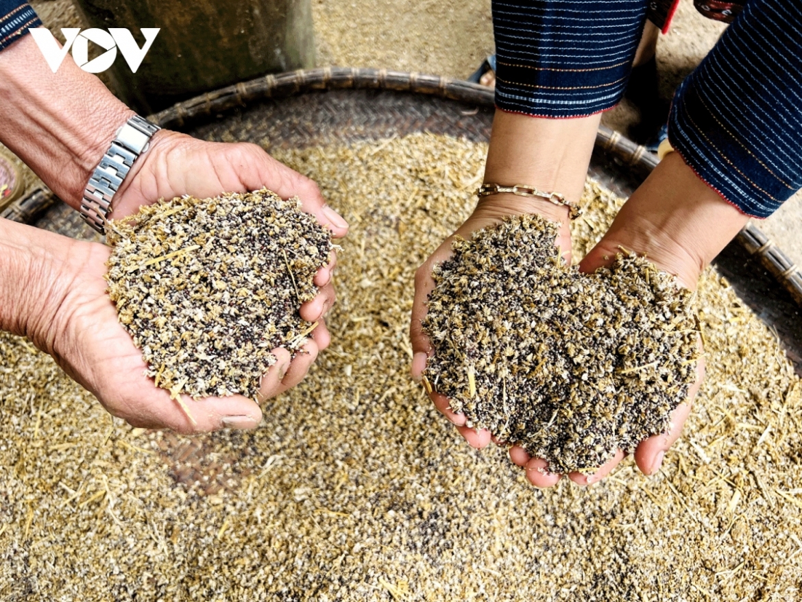 The popular drink produced by the ethnic people in the Central Highlands is also used in traditional rituals and ceremonies.