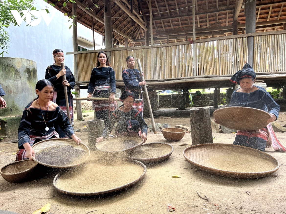 Ethnic women seek ways in which to remove the shells of the nuts.