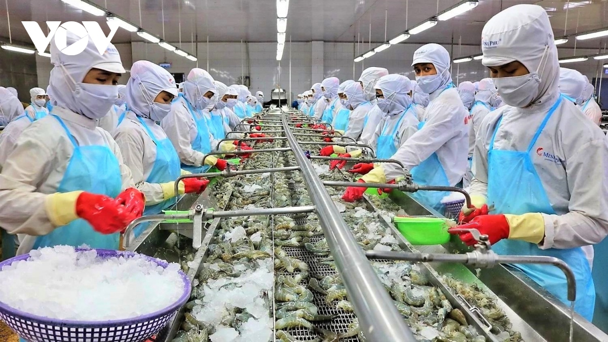 Shrimp is one of Vietnam's key seafood export products