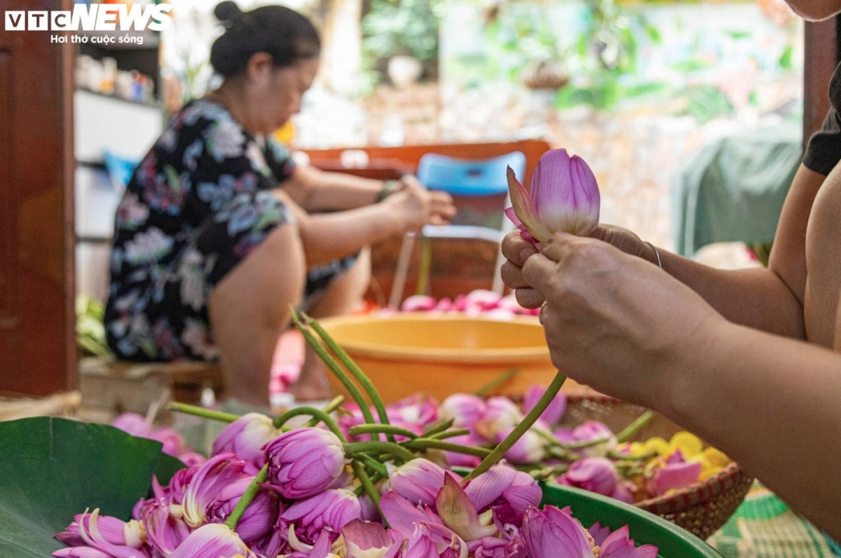 The preparation of lotus tea is in itself an art which is enjoyed by those who practice the craft.