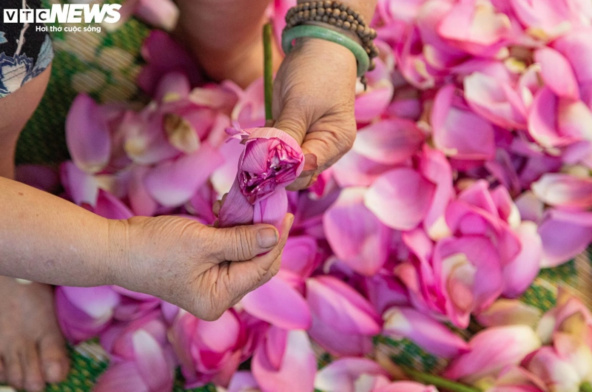 Than and her descendants gather together to peel off the petals in order to get the lotus anther as fast as possible.