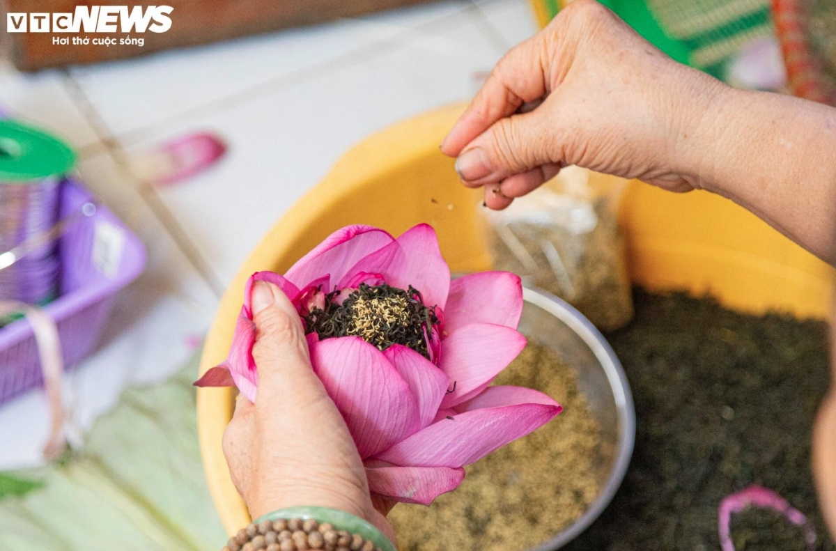 During the time the tea is packed in the flower, the tea absorbs its scent. Lotus flowers used to make lotus tea must therefore have peduncles.