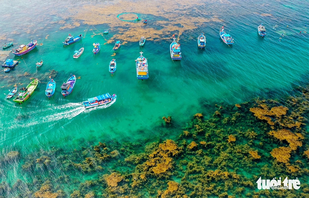 Visitors can experience a diverse range of activities in the fishing village such as catching snails and oysters, diving to see coral, and admiring the beautiful blue sea and sunshine. (Photo: tuoitre.vn)