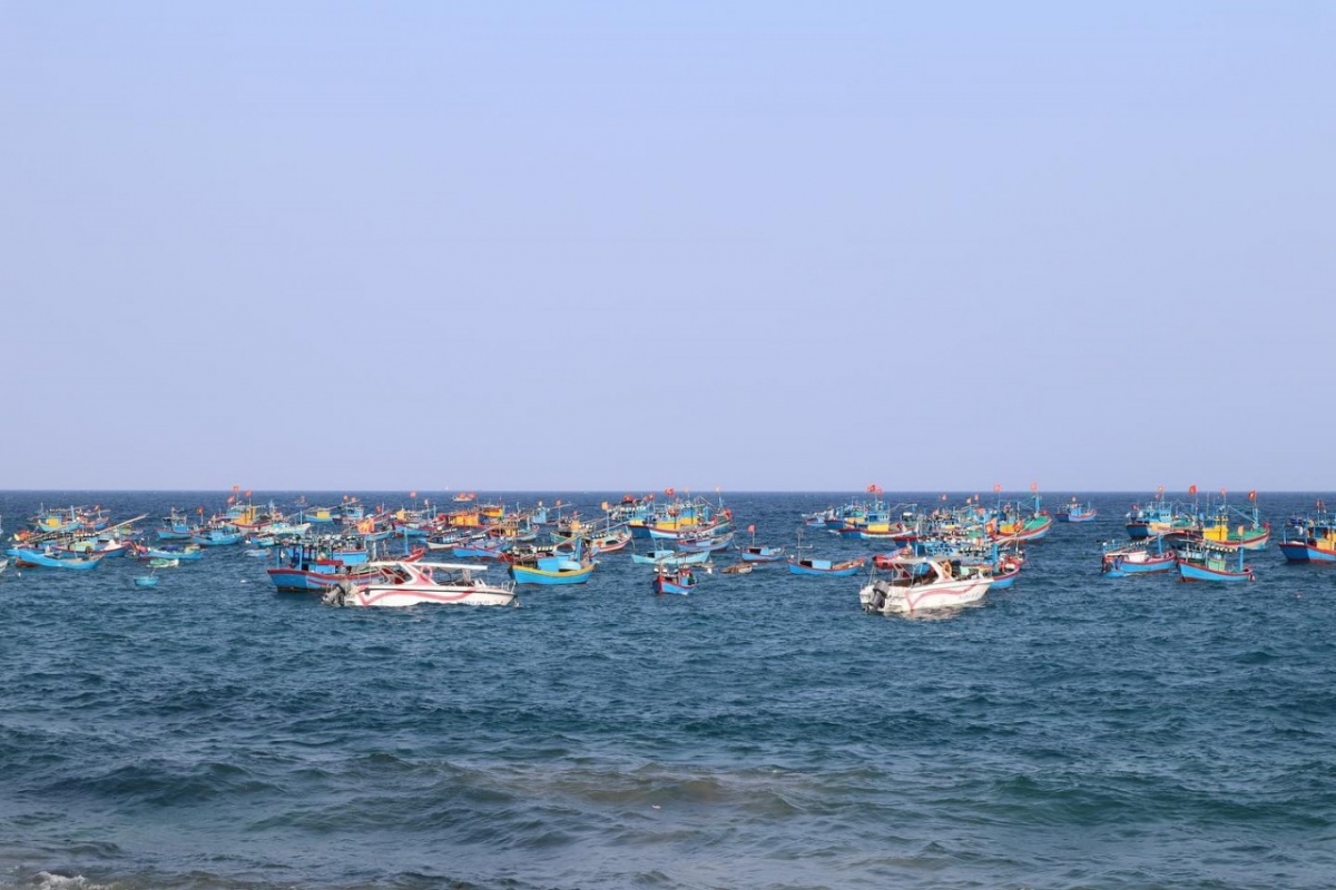 Visitors can also experience the daily life of local villagers, sample fresh seafood, and participate in a range of interesting activities. (Photo: tcdulichtphcm.vn)