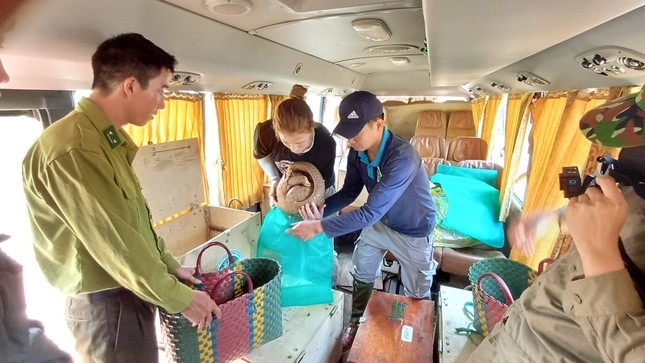 11 Java pangolins are released back into nature (Photo: tienphong.vn)