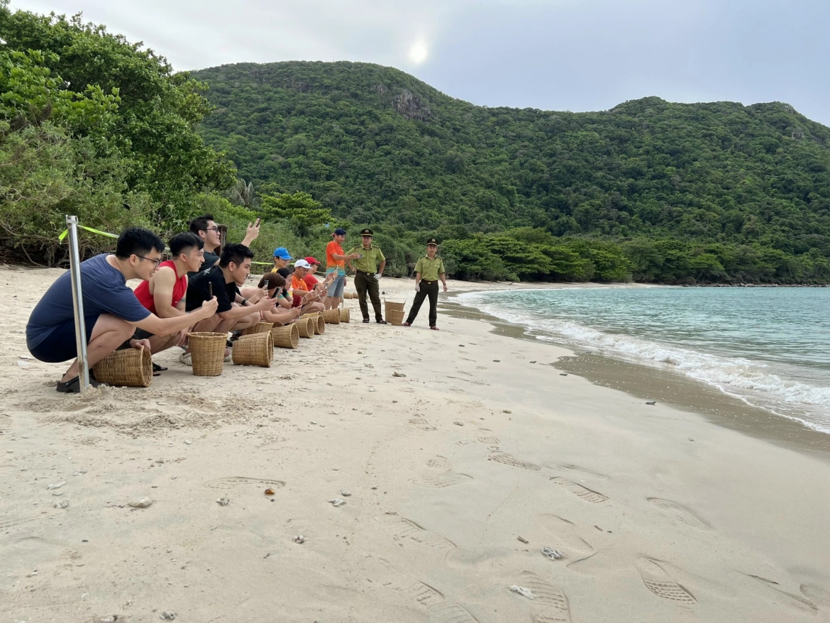 Relevant forces and people release 87 Malaysian baby sea turtles into the sea. (Photo: CTV)