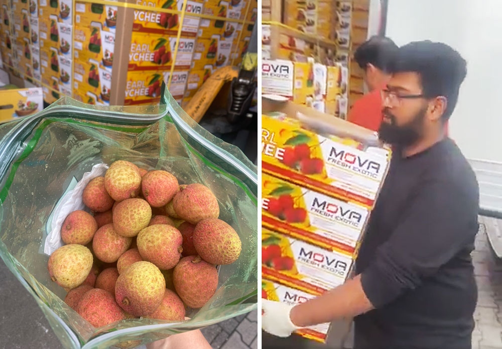 Fresh Vietnamese lychees have arrived in Germany. (Photo: baobacgiang.vn)