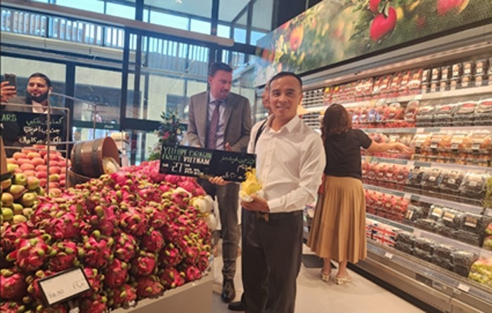 Vietnamese red and yellow-fleshed dragon fruit now available for sale at the Spinneys supermarket chain in Riyadh