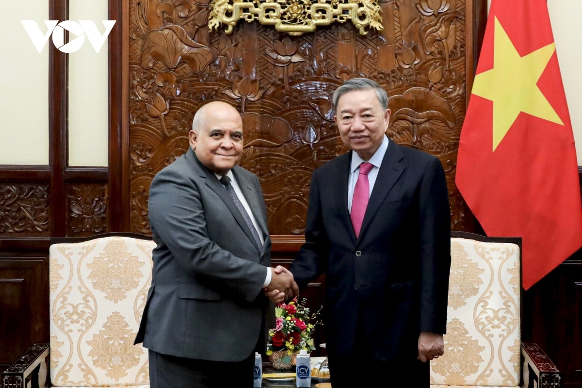 Vietnamese President To Lam (R) shaking hands with Cuban Ambassador to Vietnam Orlando Nicolas Hernandez Guillen ahead of their meeting in Hanoi on June 24