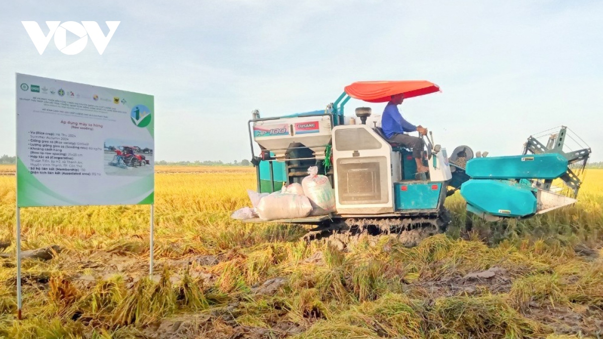 The World Bank has committed US$40 million in carbon credits from a project to develop 1 million hectares of low carbon and quality rice in 12 Mekong Delta localities 