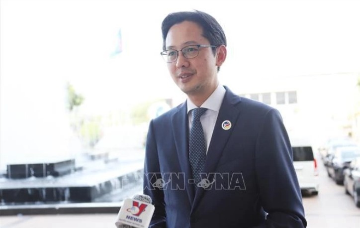 Deputy Foreign Minister Do Hung Viet (Photo: VNA)