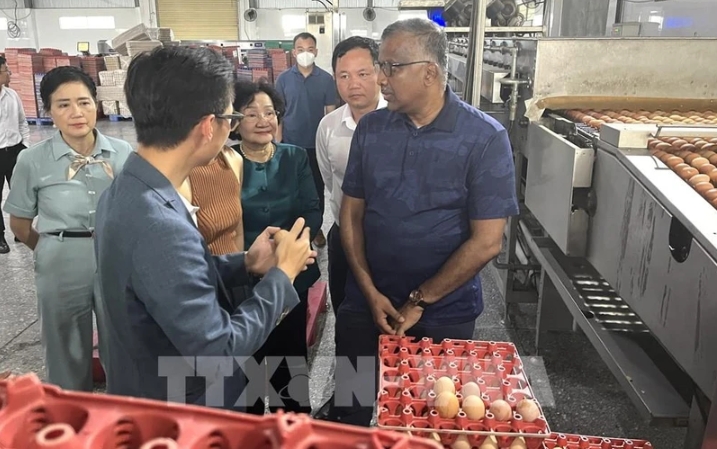 The Singaporean working delegation visits Ba Huan high-tech poultry farm in the Mekong Delta province of Long An.