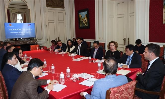 The Vietnamese Embassy in Belgium holds a discussion in Brussels on July 2 with the European Chamber of Commerce in Vietnam (Photo:VNA)