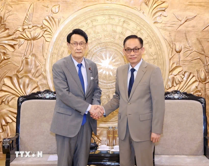 Le Hoai Trung, head of the Party Central Committee’s Commission for External Relations (R) and Kisaburo Tokai, head of the Policy Research Council of the ruling Liberal Democratic Party of Japan, during their meeting in Hanoi on August 2. (Photo: VNA)