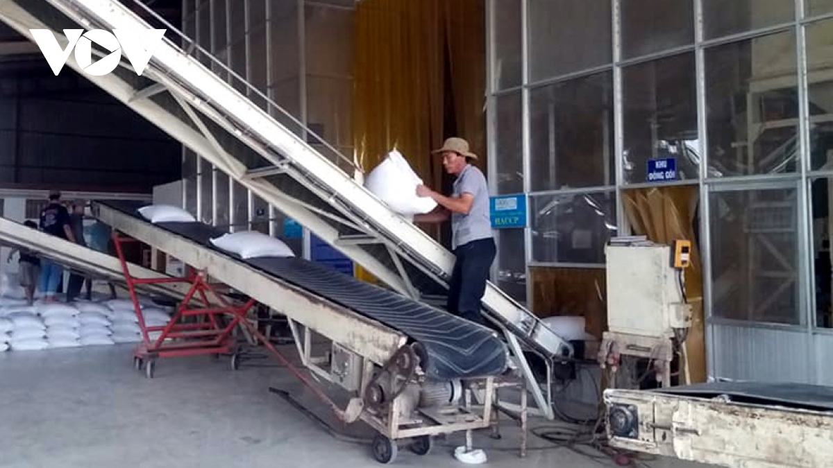 Rice is a staple export item of Vietnam to several ASEAN member states every year.