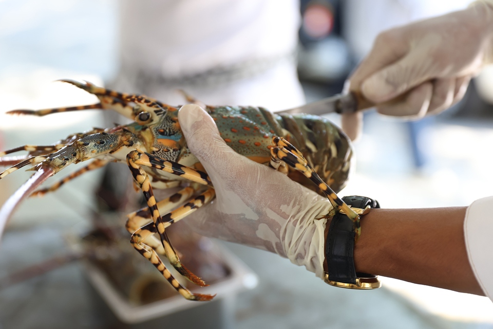 The highlight of the festival is a lobster culinary performance contest held on August 9, drawing the participation of 60 contestants of 20 teams from across the country.