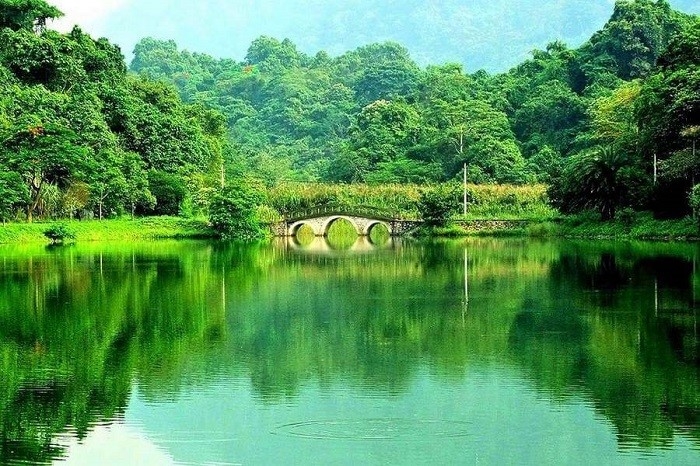 Cuc Phuong National Park is Vietnam's largest Nature Reserve