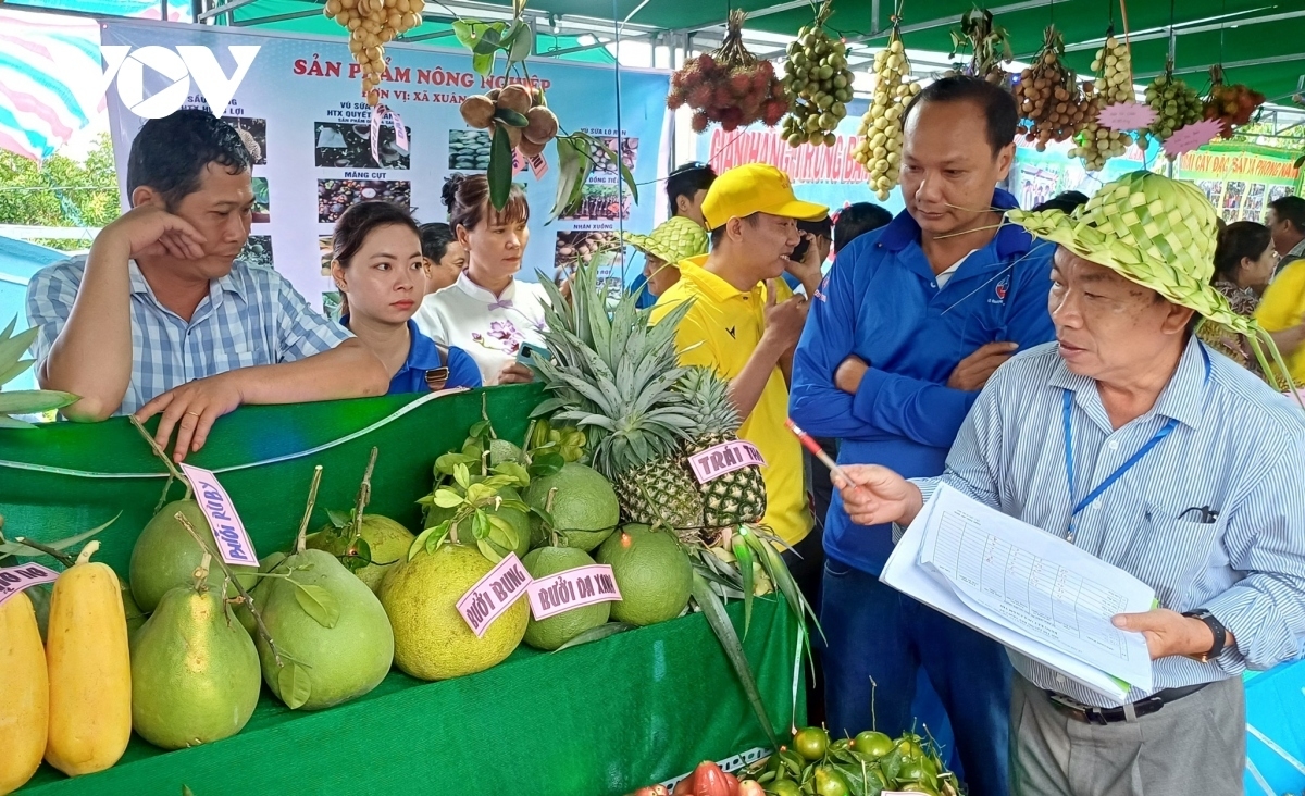 China has licensed more than 10 Vietnamese fruits to enter its market. (illustration)