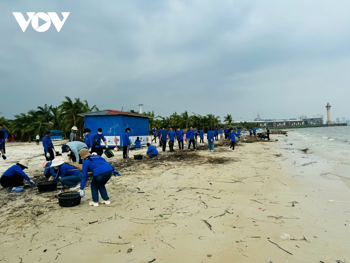 Reports indicate extensive damage has been done to accommodation establishments, particularly in Ha Long, Van Don, Cam Pha, and Co To.