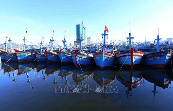 The south-central coastal province of Binh Dinh will provide one-time financial support for the installation of vessel monitoring systems for boats measuring between 12 and 15 metres.