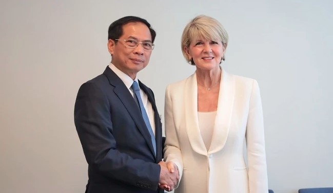 Deputy PM and FM Bui Thanh Son and the UN Secretary-General’s Special Envoy on Myanmar Julie Bishop at their meeting in New York on September 22. (Photo: VNA)