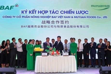 An overview of the signing ceremony