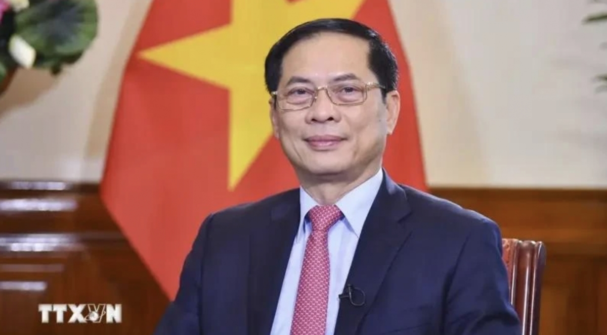 Minister of Foreign Affairs Bui Thanh Son (Photo: VNA)
