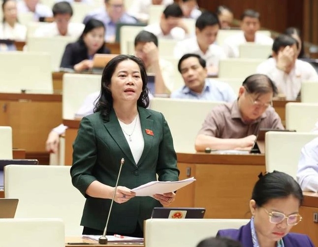 A legislator speaks at the NA meeting on October 22. (Photo: VNA)