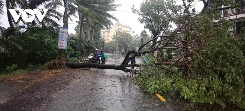 As of mid-day on October 27, the storm's intensity in Quang Nam province increases, with stronger winds and heavier rain. Many trees are uprooted across Hoi An ancient city.