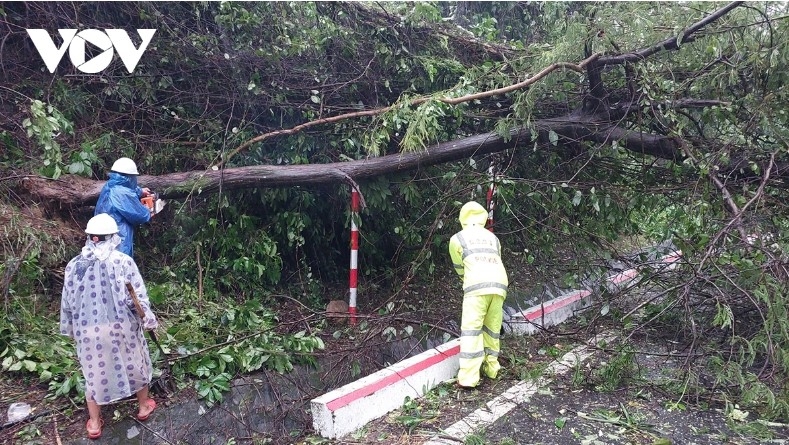 Strong winds also bring down many trees on the road to Hai Van Tunnel, causing difficulties for drivers.