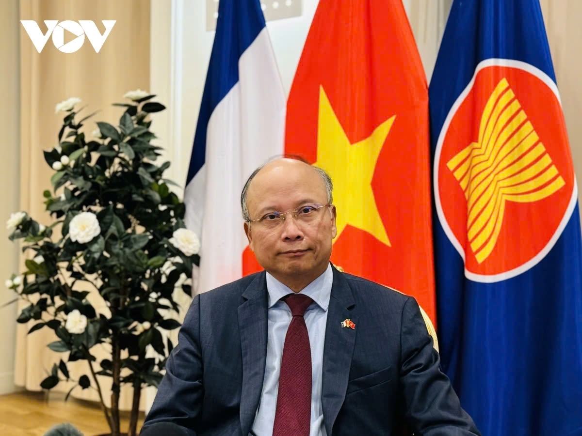 Vietnamese Ambassador to France Dinh Toan Thang