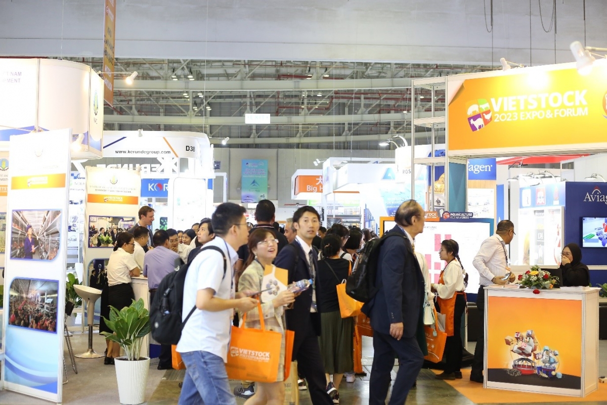 Vietstock 2024 is expected to attract 13,000 visitors