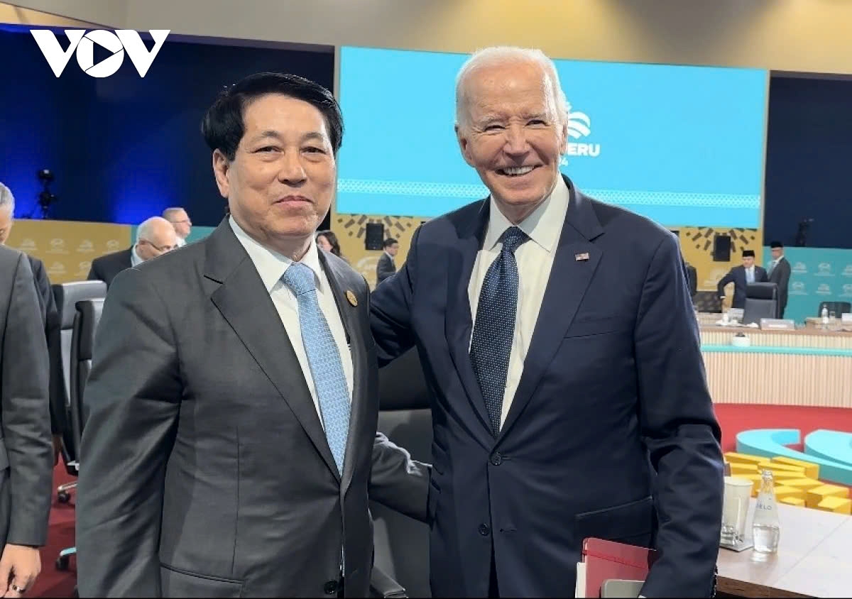 Vietnamese President Luong Cuong (L) meets with US President Joe Biden on the sidelines of the 2024 APEC Economic Leaders' Week in Lima, Peru, on November 15