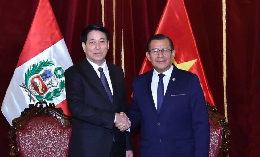 Vietnamese President Luong Cuong (L) meets with President of the Peruvian Congress Eduardo Sanjuana