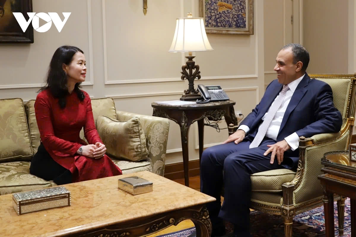 Vietnamese Deputy Minister of Foreign Affairs Nguyen Minh Hang (L) meets Minister of Foreign Affairs, Migration, and Egyptian Expatriates Affairs Badr Abdelatty in Cairo on November 28