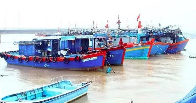 Starting November 2, the campaign has seen the deployment of four task forces as well as many naval vessels and inspection teams for a comprehensive examination of and crackdown on IUU fishing activities across the province.