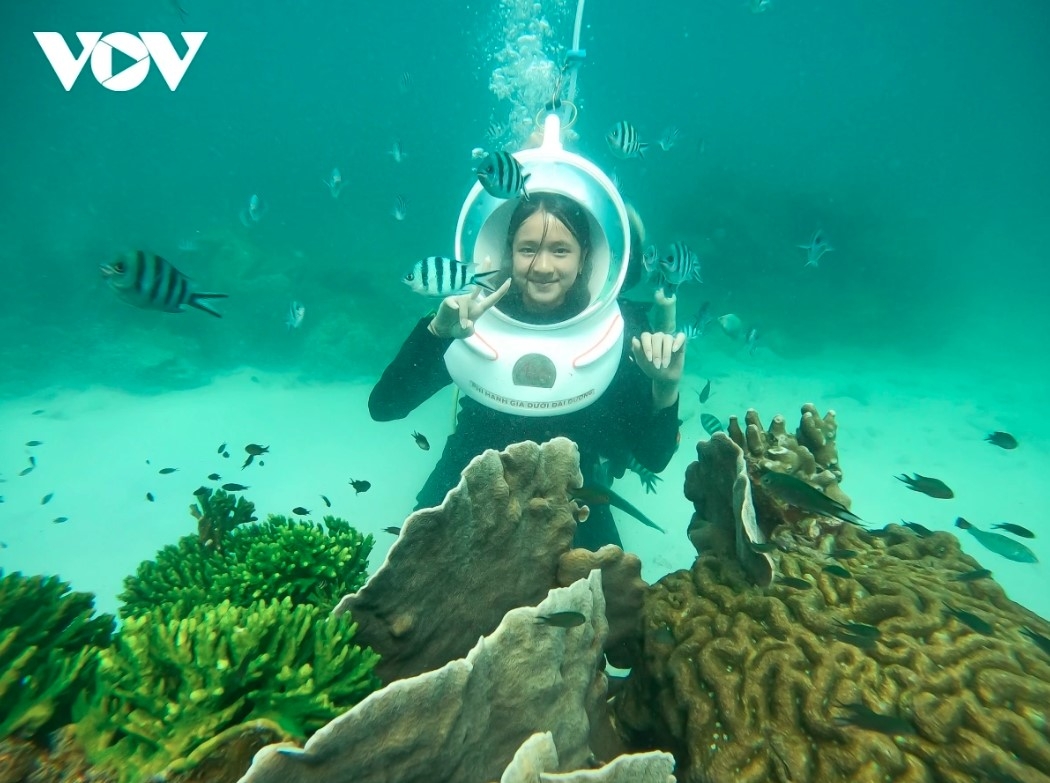 Scuba diving is an interesting experience that many tourists enjoy, even for those who do not know how to swim. Simply wearing a diving helmet equipped with an oxygen source can allow tourists to confidently dive down and explore the sea. The game costs VND600,000 per 30 minutes. In addition, tourists can spend VND200,000 for 10 photos taken underwater.