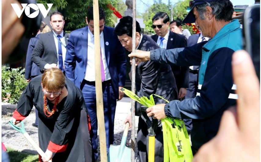 Following the ceremony, Cuong and Bachelet plant a commemorative tree in the park, another symbol of the enduring friendship between the two peoples. They also witness the signing of a memorandum of understanding on establishing the friendly and cooperative relationship between Nam Dan district of Vietnam’s central province of Nghe An and Cerro Navia district in the Santiago Metropolitan region of Chile.
