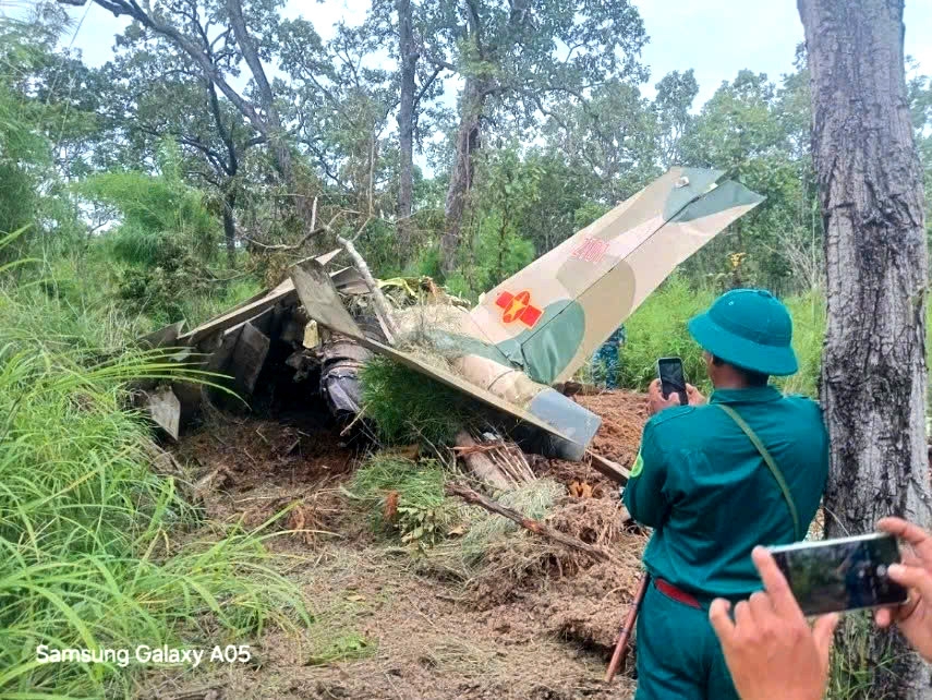 The area where the plane crashed is covered with large green trees 
