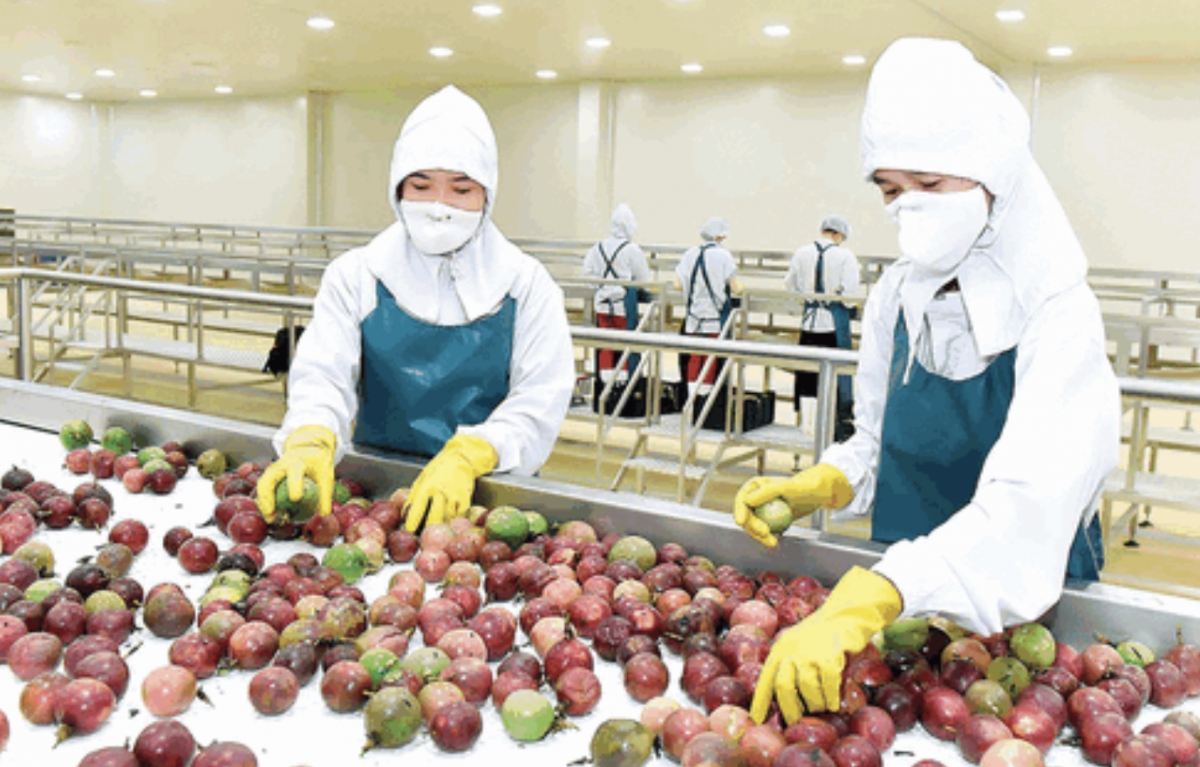 Passion fruit is expected to make inroads into the US market next year