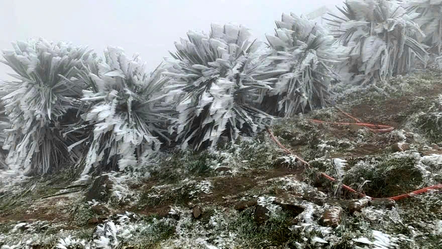 More strong cold spells are expected to hit the northern region of Vietnam in the coming two months, causing freezing conditions in mountainous localities.