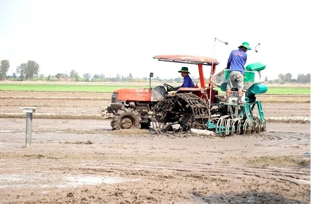 Farmers in Can Tho city use machines to sow rice seeds in fields which are planted under the Ministry of Agriculture and Rural Development’s project to sustainably develop one million hectares of high-quality and low-emission rice cultivation associated with green growth in the Mekong Delta by 2030.