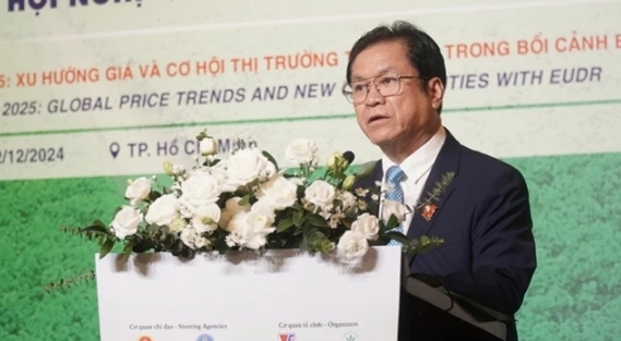 Le Thanh Hung, Chairman of the Vietnam Rubber Association, speaks at the international rubber conference in HCM City on December 12. (Photo courtesy of nongnghiep.vn)