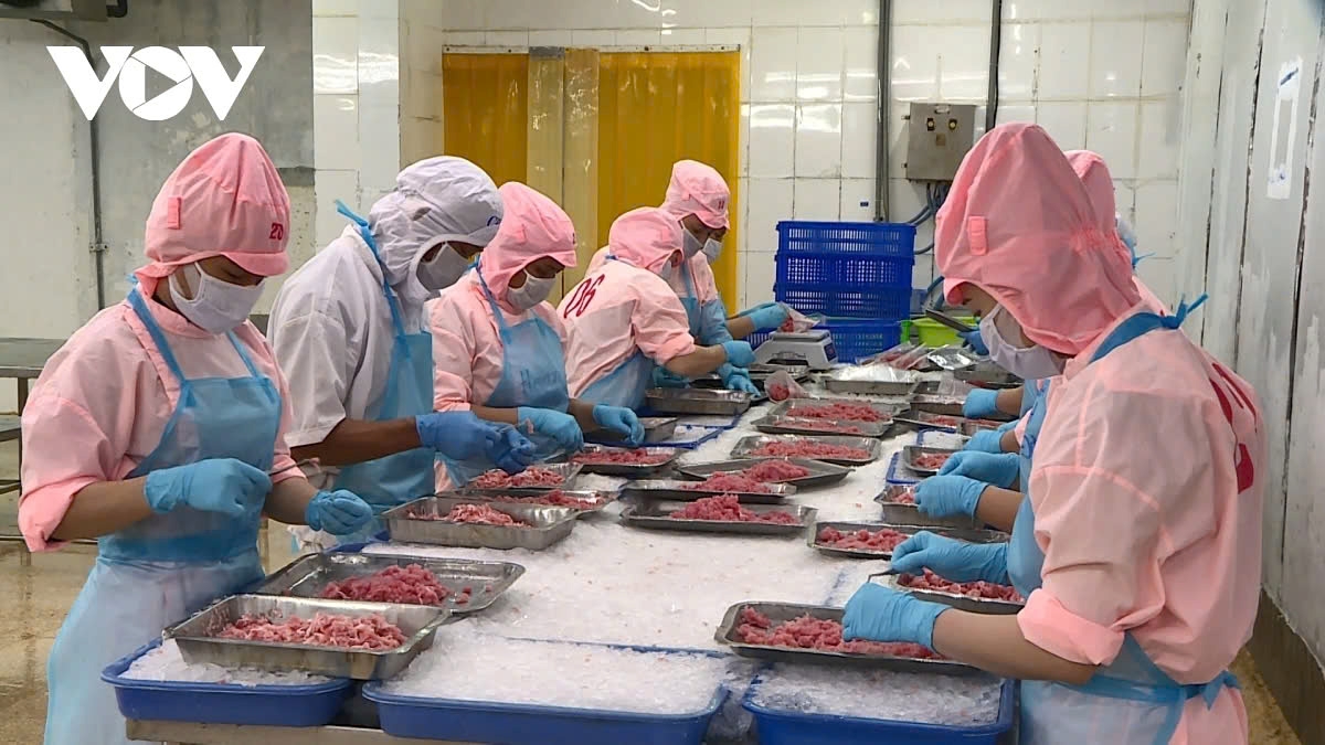 Seafood exports have brought in more than US$10 billion this year for Vietnam