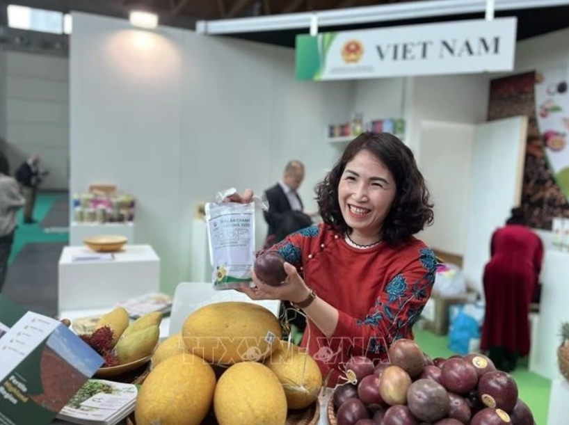 Vietnamese farm produce at the 41st Macfrut Fair in Rimini City, Emilia-Romagna region, Italy
