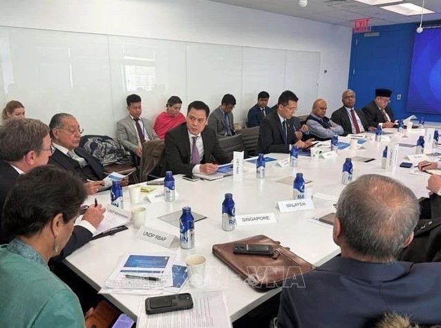 Ambassador Dang Hoang Giang, Permanent Representative of Vietnam to the UN, speaks at the dialogue.
(Photo: VNA)