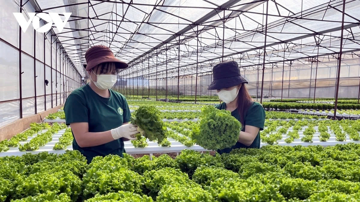 The trend of green transformation in global supply chains is now a survival requirement for businesses.