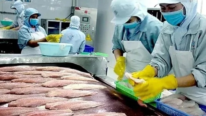 China continues to take the lead in Vietnamese pangasius exports